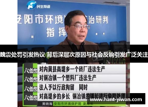 魏震处罚引发热议 背后深层次原因与社会反响引发广泛关注